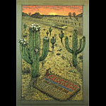 Calexico 2008 Fillmore F971 Poster