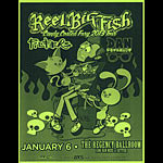 Thom Foolery Reel Big Fish - Candy Coated Fury 2013 Tour Flyer