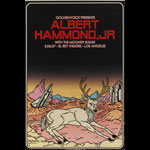 Goldenvoice Presents Albert Hammond Jr. Poster