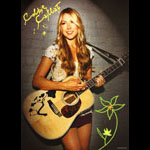 Colbie Caillat Official 2009 Tour Poster