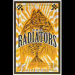 Thomas Scott (Eyenoise) The Radiators Poster