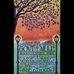 Nadina Simon Gov't Mule Rocks Central Park Poster