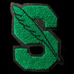 Sonoma Valley High School Dragons 1950s Patch