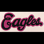 Eagles Logo Script Patch