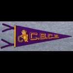 Colorado State College of Education Bears Pennant