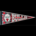 Chicago Bulls 1993 NBA World Champions Pennant