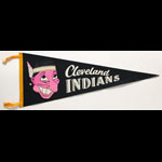 Cleveland Indians Baseball Pennant