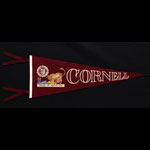 Cornell University - College of Agriculture Pennant