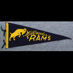 Los Angeles Rams Pennant