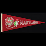 University of Maryland Terrapins Pennant