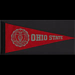 Ohio State University  Mini Pennant