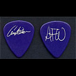 Heart Ann (Annie) Wilson Guitar Pick