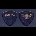 REO Speedwagon Bruce Hall Guitar Pick