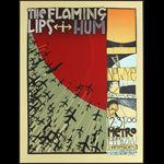 Jay Ryan The Flaming Lips Poster