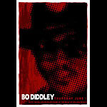 Scrojo Bo Diddley Poster