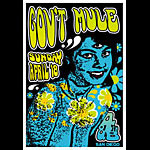 Scrojo Gov't Mule Poster