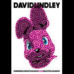 Scrojo David Lindley Poster