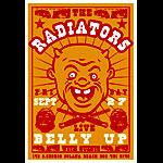 Scrojo The Radiators Poster