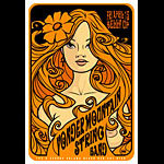 Scrojo Yonder Mountain String Band Poster