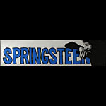 Vintage Bruce Springsteen Bumper Sticker