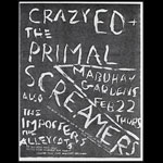 CrazyED Punk Flyer / Handbill