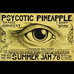 John Seabury Psycotic Pineapple Summer Jam Punk Flyer / Handbill